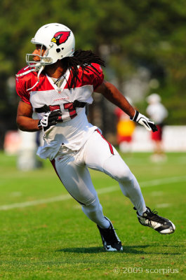 2009 Arizona Cardinals Training Camp