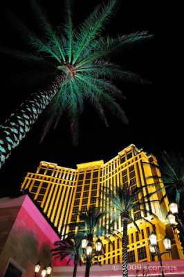 The Palazzo