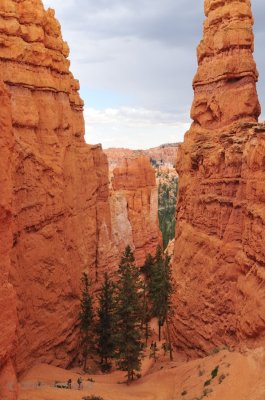 Bryce Canyon National Park