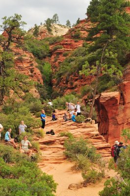 Zion National Park