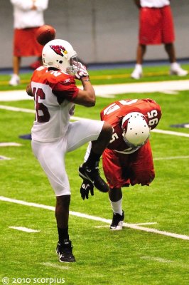 Arizona Cardinals