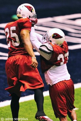 Arizona Cardinals