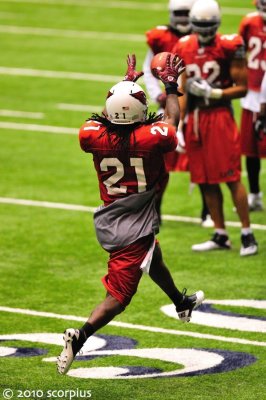 Arizona Cardinals