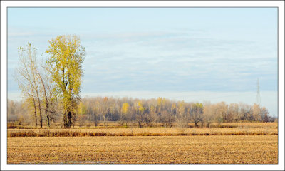 _DSC0147.jpg