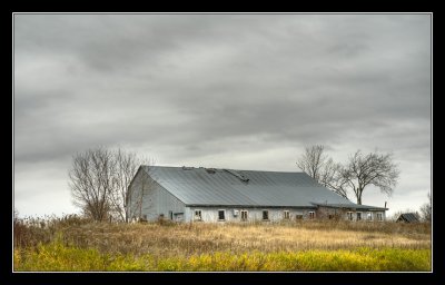 _DSC0339b.jpg