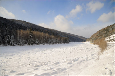_DSC4085.jpg