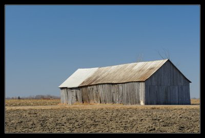 _DSC7373.jpg