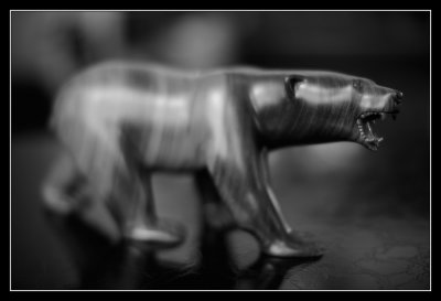 _FDK0572.jpg