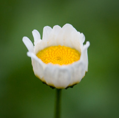6. Oktober