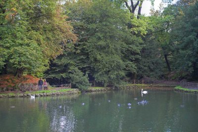 At the pond