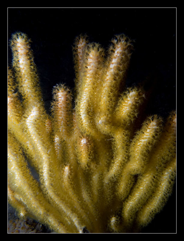 M0010655.jpg