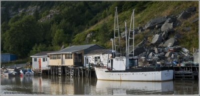 Newfoundland Fishing Port