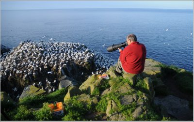 David Sparks Photographing Gannets