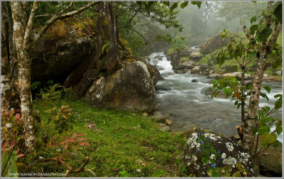 river scene 