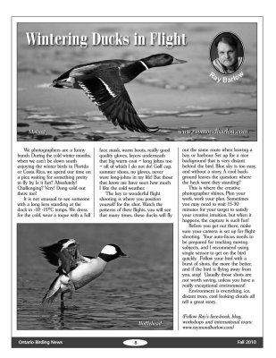 Ontario Birding News page 8.jpg