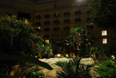 GayLord Palms Hotel - Orlando