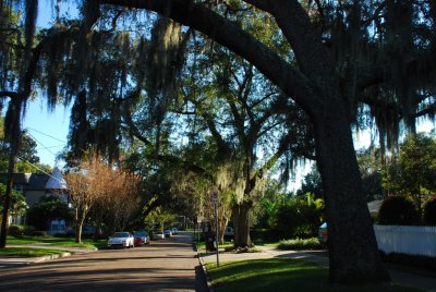 Orlando Downtown