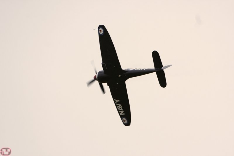 Sea Fury