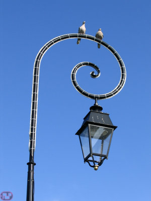le piège ?