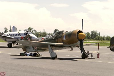 Yak 11
