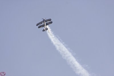 Pitts