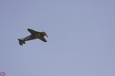 Yak 11
