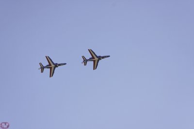 paf. cavaliers seuls
