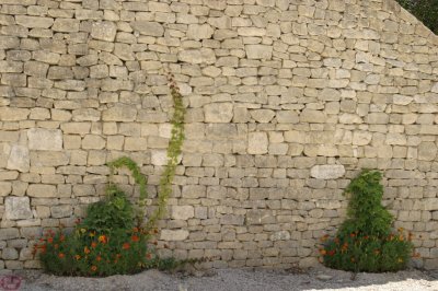 mur