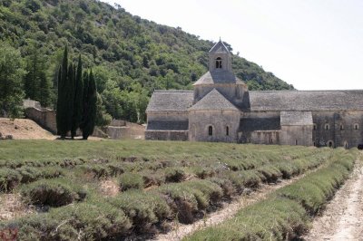 glise vue des champs