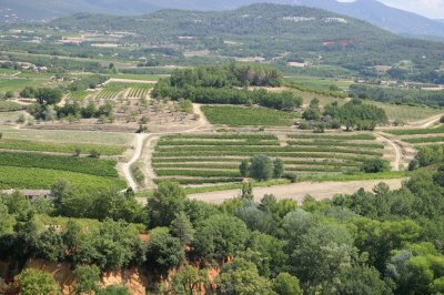 promesse de Dyonisos