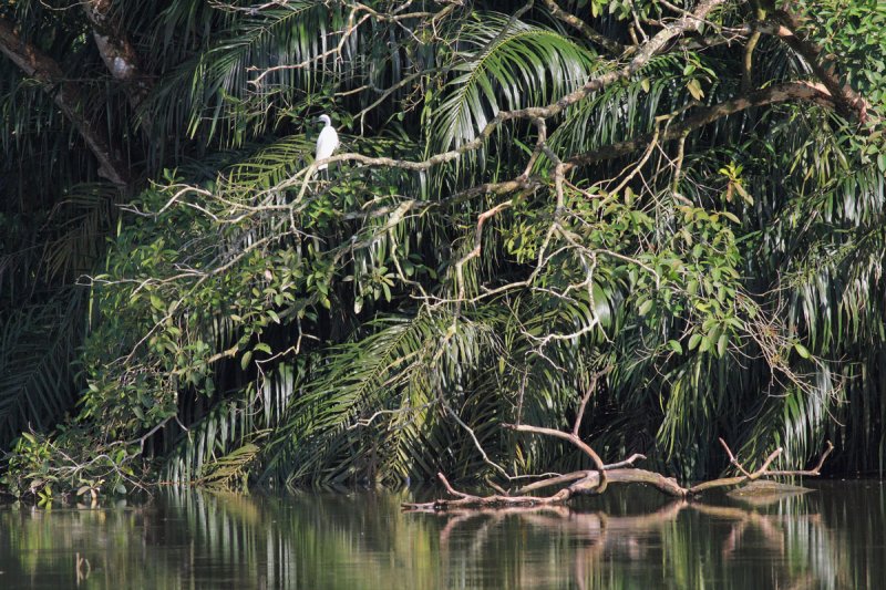 Lake Gardens, Taiping