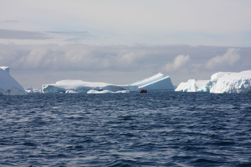 A collection of grounded icebergs