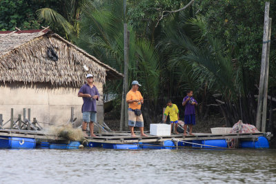 Fishing on the Sedili Kechil