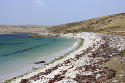 Beach at Blanco Bay, Port William