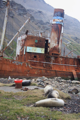 Wreck on Grytviken beach