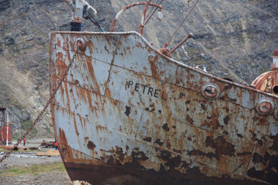 Wreck of the Petrel, Grytviken beach