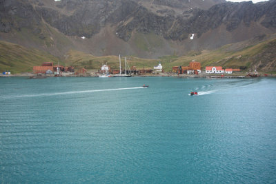 Grytviken from the bay