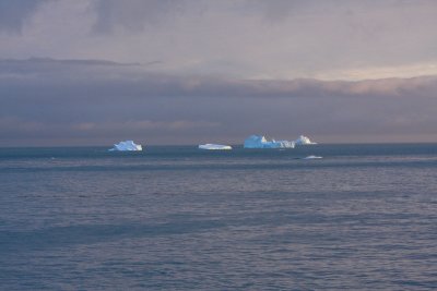 The start of iceberg alley, outside Gold Harbour