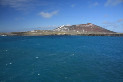 Penguin Island in sunshine
