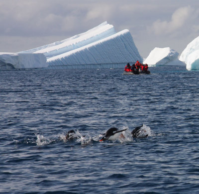 Parallel melt lines on an overturned berg