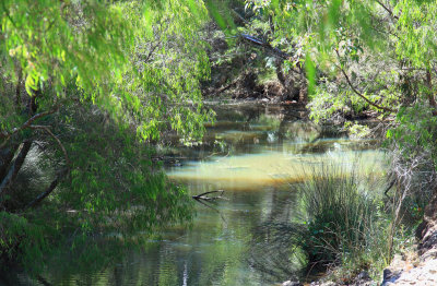 Stream at Brookland Valley