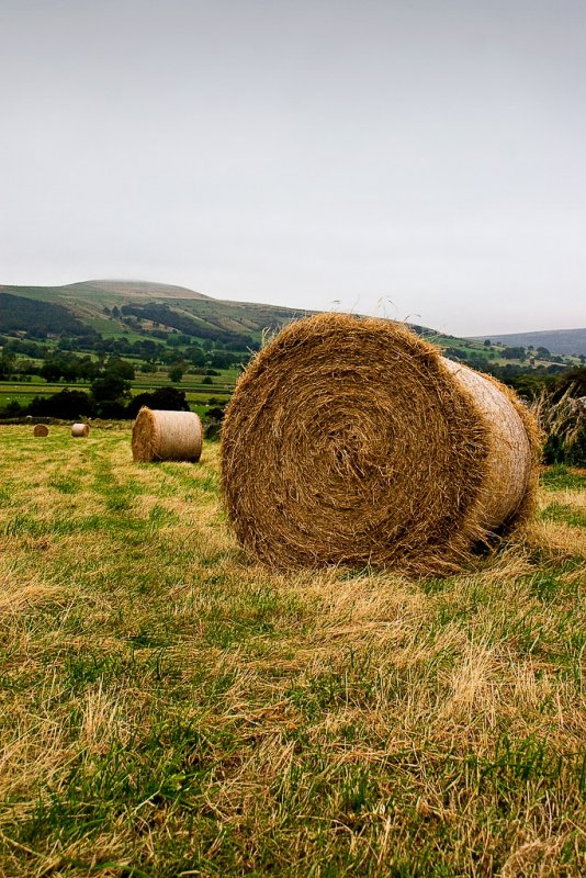 _MG_2515 hay bales.jpg