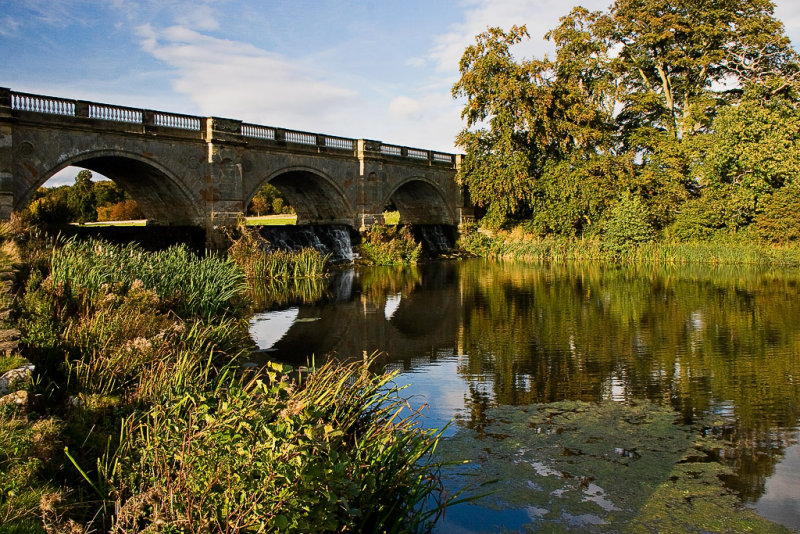 _MG_2838 kedleston.jpg