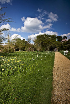 _MG_9914 nymans.jpg