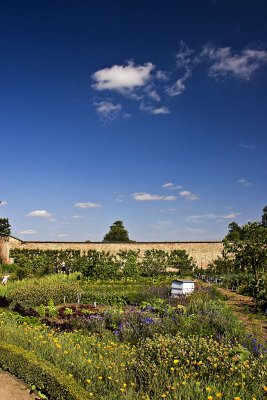 _MG_1796 wimpole hall.jpg