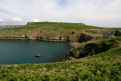 _MG_6411 skomer.jpg