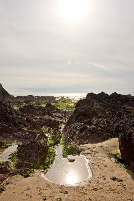 _MG_6639 freshwater west.jpg