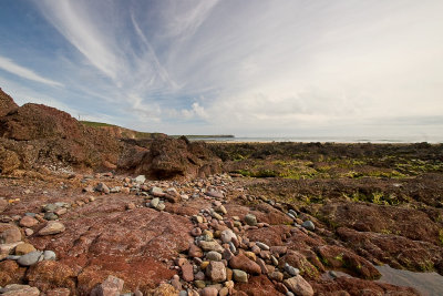 _MG_6642 freshwater west.jpg