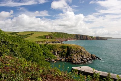 welsh wonder favourites