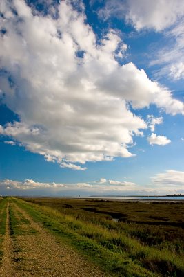 _MG_9129 brightlingsea.jpg